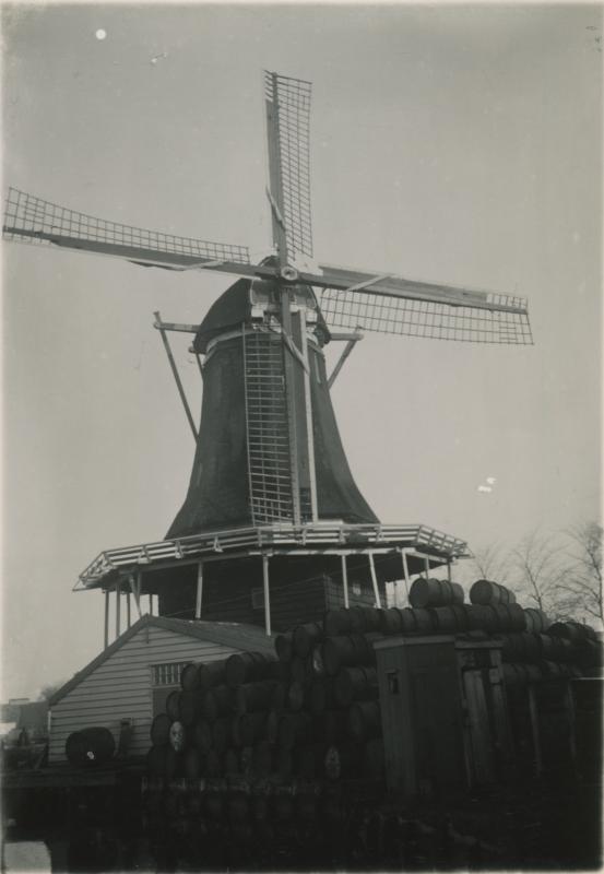 Foto 126788865
